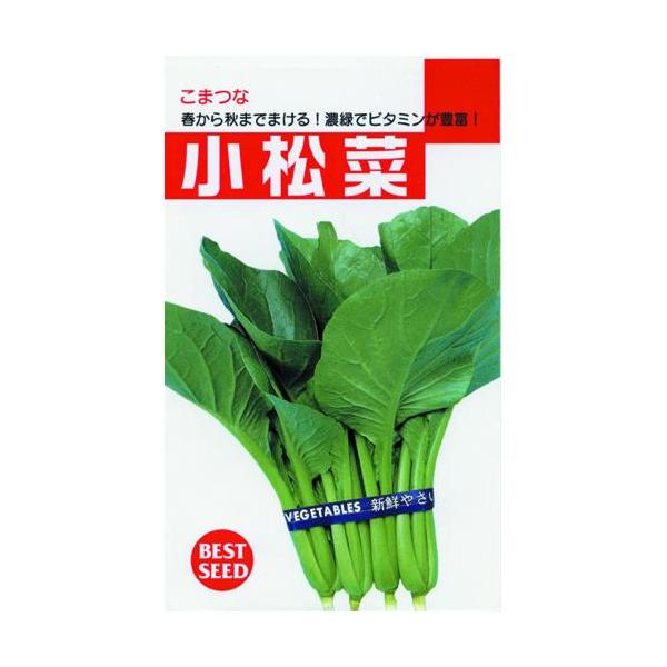 ؂̎@ ۗt؁i ʎj 50ml ( ؂̎ )