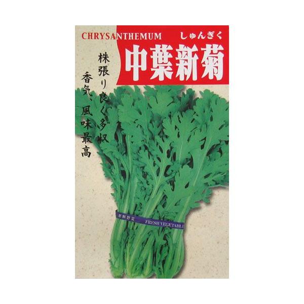 tte (te̎)  30ml ( ؂̎ )