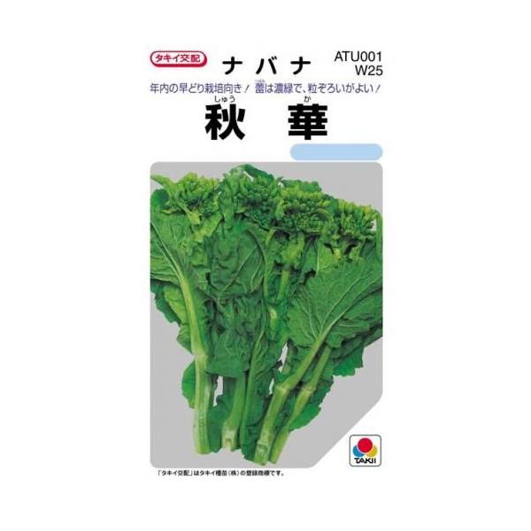 菜花秋華 菜の花の種 小袋 約6ml Buyee Buyee 日本の通販商品 オークションの代理入札 代理購入