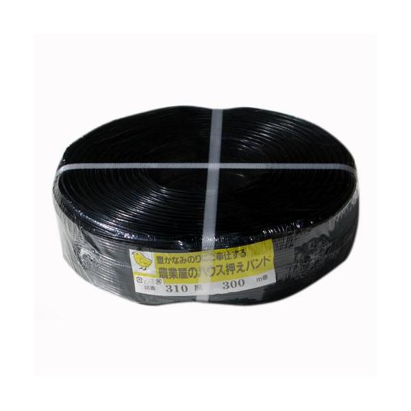 ^nEXp̓nEXoh#310 300m 