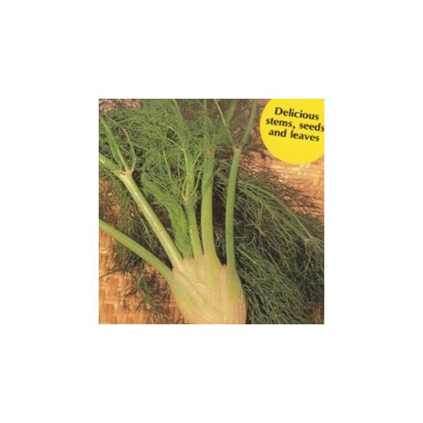 n[u̎ t[XtFl  ( ؂̎ )