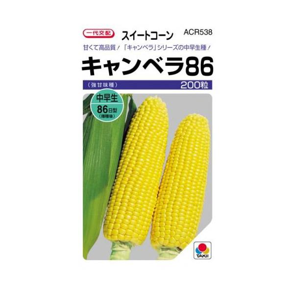 gERV̎ Lx86 200 ( ؂̎ )