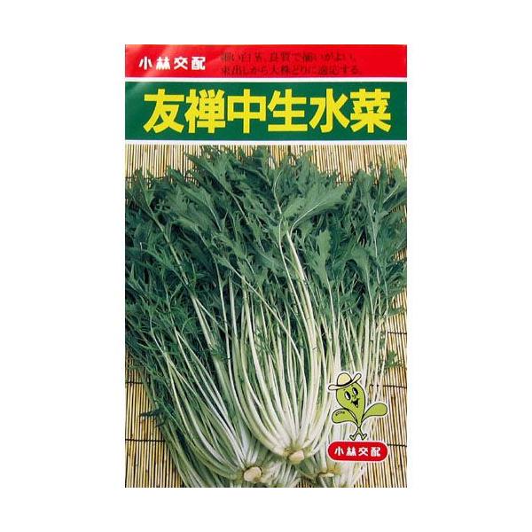 友禅中生水菜 水菜 京菜の種 小袋約6ml 野菜の種 Buyee 日本代购平台 产品购物网站大全 Buyee一站式代购bot Online