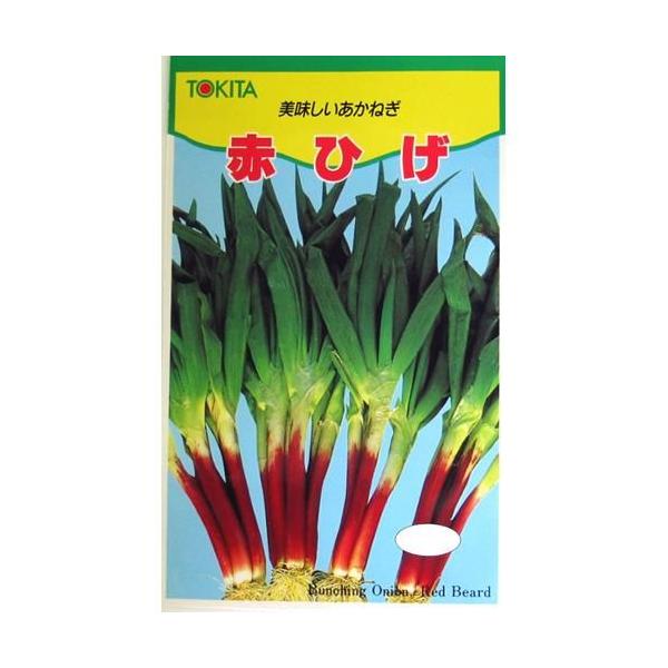 lM̎ ԂЂ  20ml ( ؂̎ )