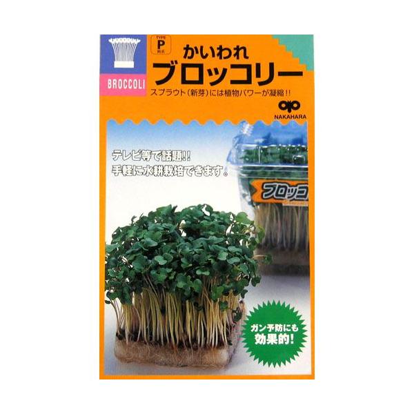 成熟ブロッコリーの8〜10倍のサルフォラフェンを含むほか、カロチンやビタミンC、ビタミンE、ビタミンKが特に豊富。活性酸素を無害化する働きを持つ抗酸化物質も多い。とくに発芽後3日目のスプラウトには栄養成分が多く、発がん抑制効果は成熟ブロッコ...