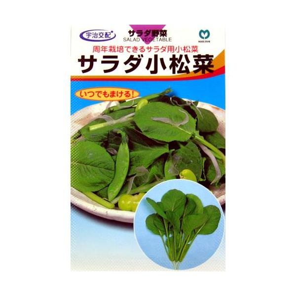 T_ (؂̎)  7ml ( ؂̎ )