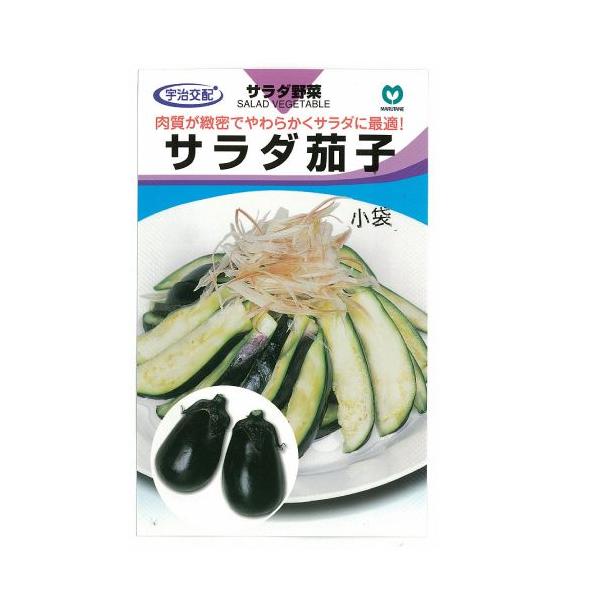 ֎q̎ T_֎q  ( ؂̎ )