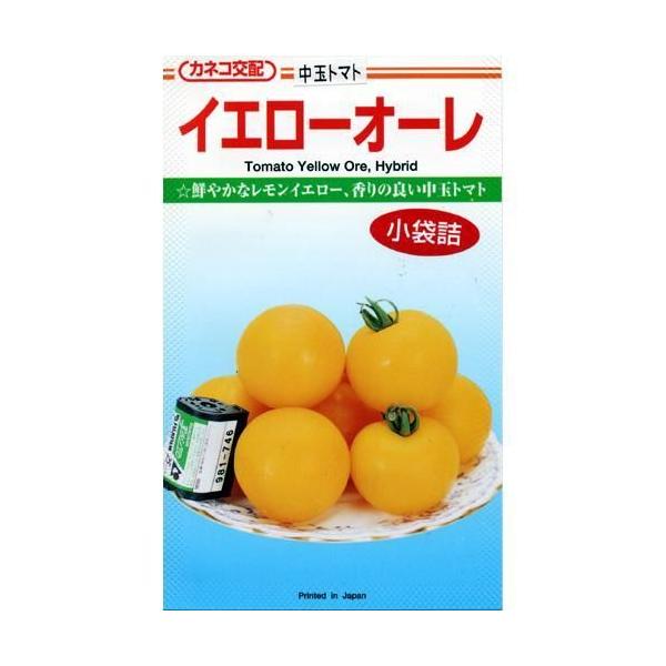 g}g̎ CG[I[ 1,000 ( ؂̎ )