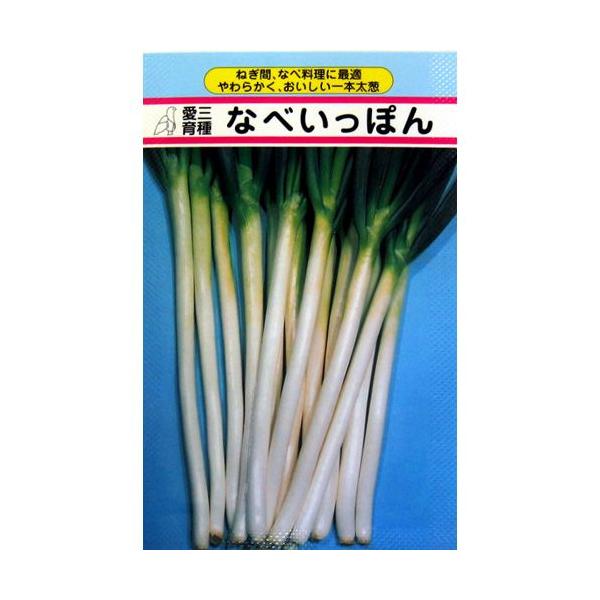 lM̎ lMȂׂۂ ܁i5mlj