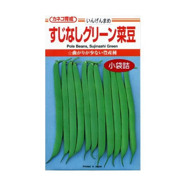 専用ページ いんげん様 つるなしインゲン豆の種 すじなしグリーン 1dl ( 野菜の種 ) : 菜園