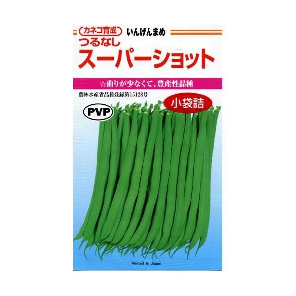 つるなしいんげんの種 スーパーショット 小袋（50粒） : 菜園くらぶ
