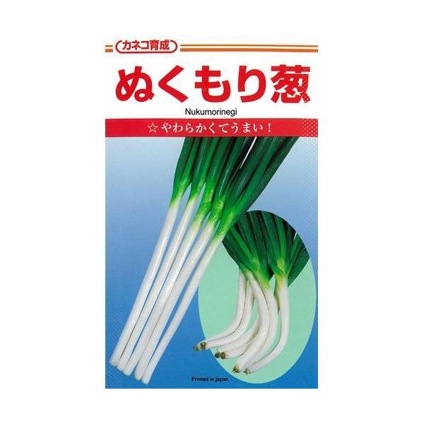 lM̎ ʂ  20ml ( ؂̎ )