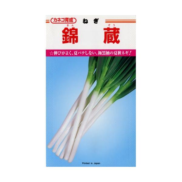 lM̎ ё  20ml ( ؂̎ )