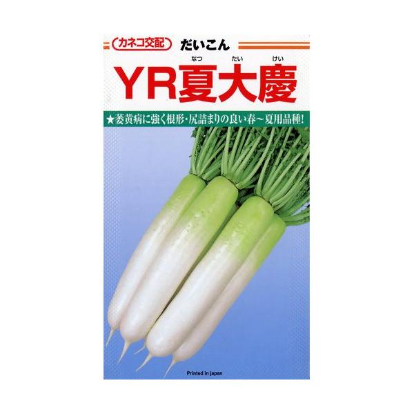 卪̎ YRđc  20ml ( ؂̎ )