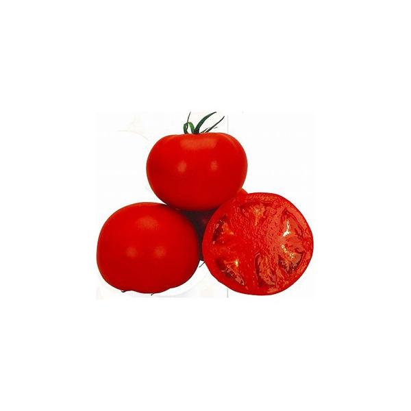 g}g̎ ӂ 1,000 ( ؂̎ )