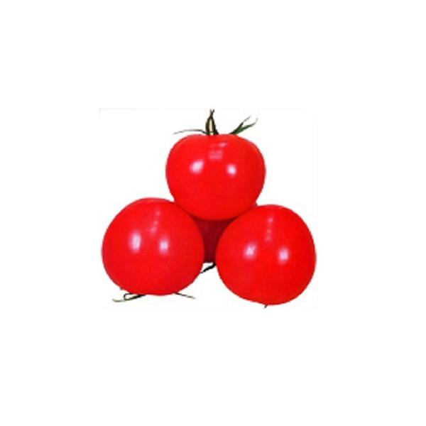 g}g̎  1,000 ( ؂̎ )