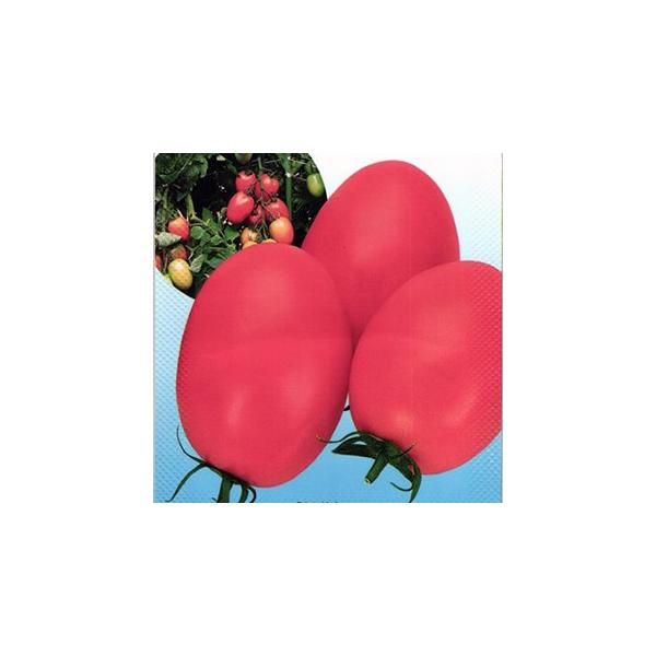 g}g̎ pX^ 1,000 ( ؂̎ )