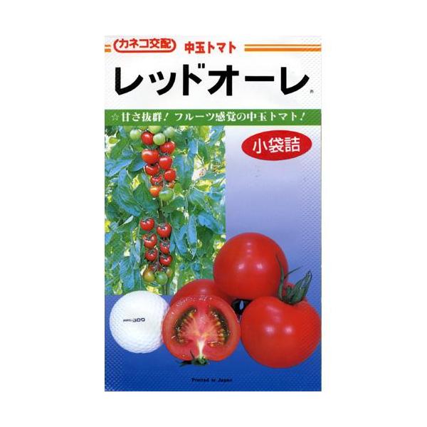 ʃg}g̎ bhI[ 100 ( ؂̎ )