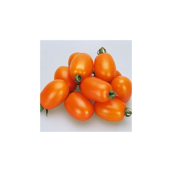 g}g̎ LhCg 1,000 ( ؂̎ )