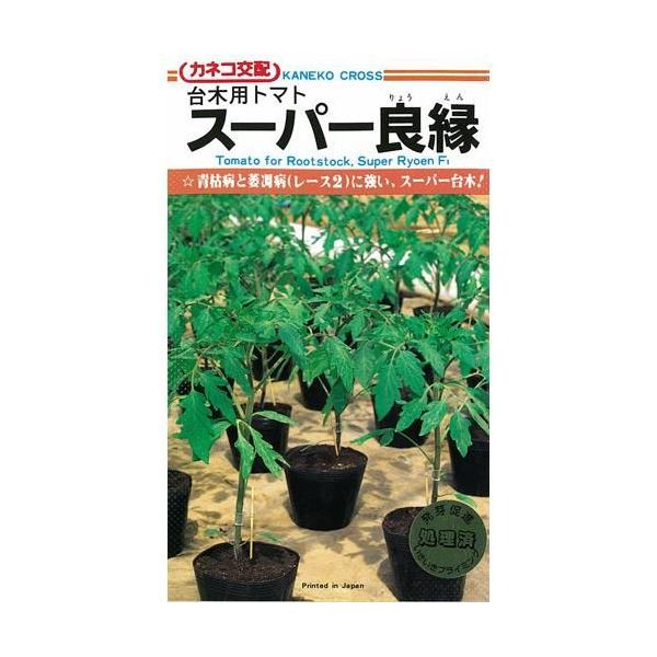 g}gp؂̎ g}g X[p[ǉ 1,000