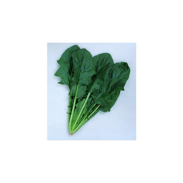 ق񑐂̎ ӒTz[v vC~OqM3 ( ؂̎ )