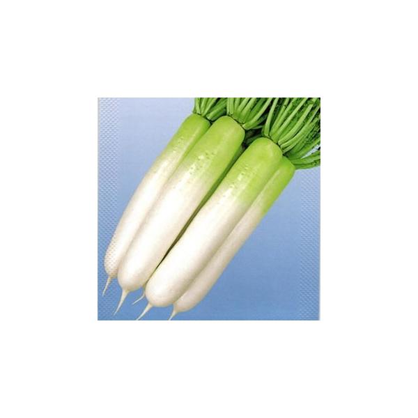 卪̎ YRđc R[g5痱 ( ؂̎ )