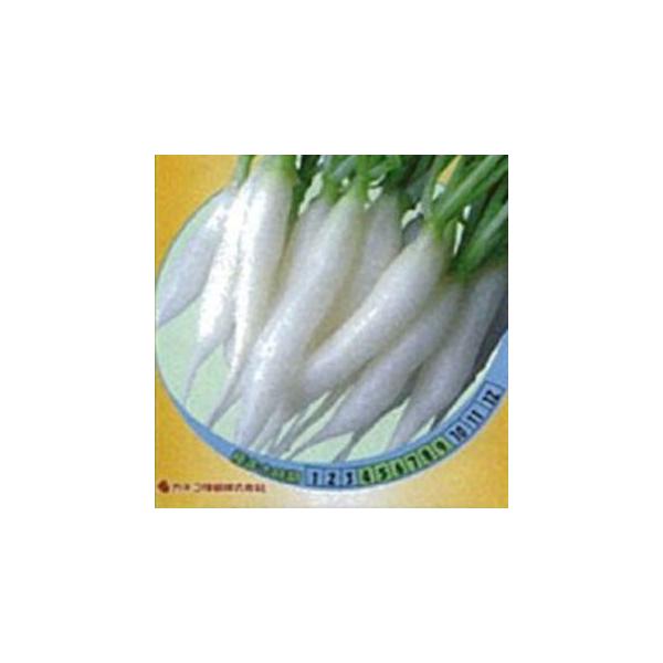 卪̎ zCg~j ܁i5.8mlj