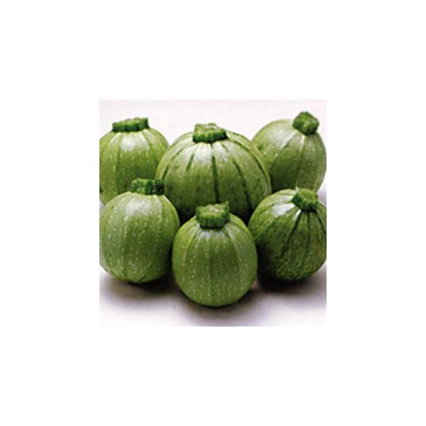 YbL[j̎ O[GbO  100 ( ؂̎ )