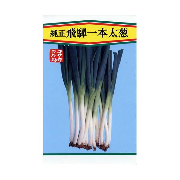 lM̎ ˈ{K  600 ( ؂̎ )