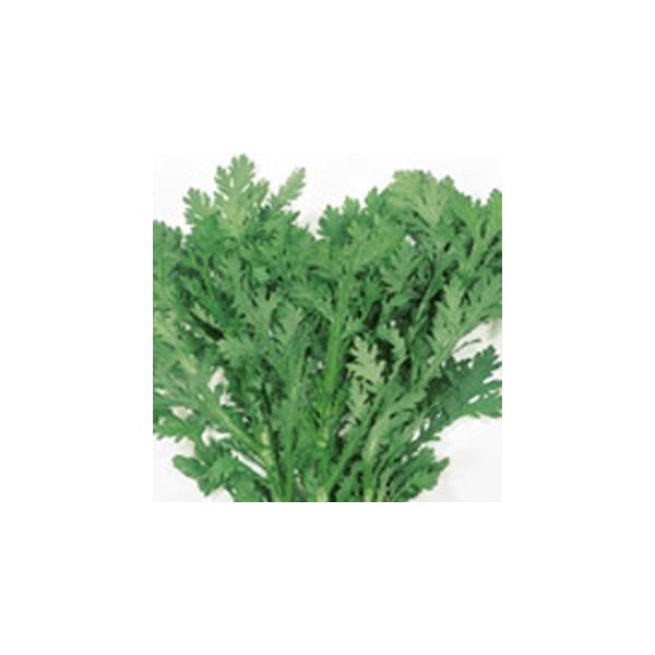 te̎ Ƃ䂽 1L ( ؂̎ )