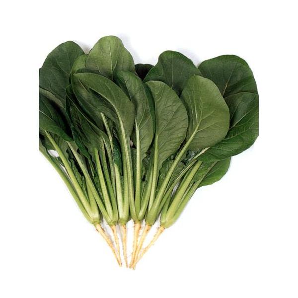 킩 (؂̎)  20ml ( ؂̎ )