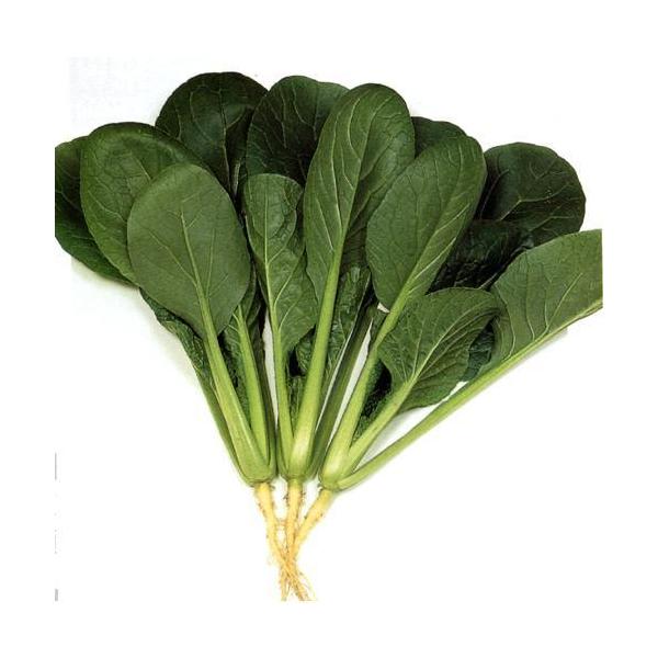 悷 (؂̎) 2dl ( ؂̎ )