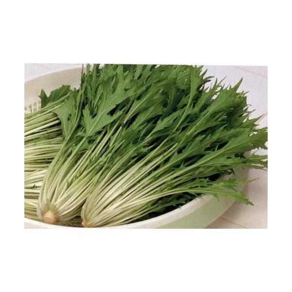 V (؁A؂̎) 2dl ( ؂̎ )