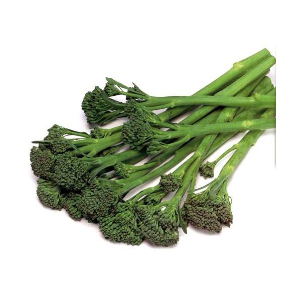 ubR[̎ XeBbNZj[ 10ml ( ؂̎ )