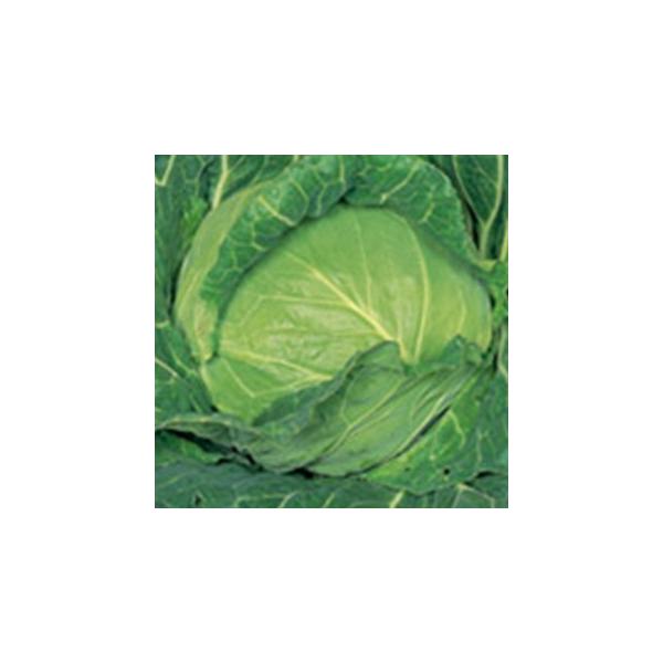 Lxc̎ n201EX ybg5痱 ( ؂̎ )