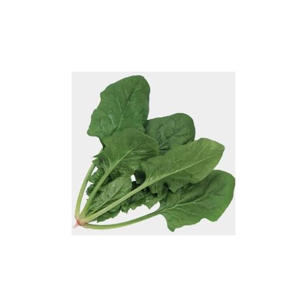 ق񑐂̎ gbh7 M3 ( ؂̎ )