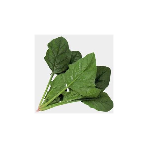 ق񑐂̎ NmX M3 ( ؂̎ )