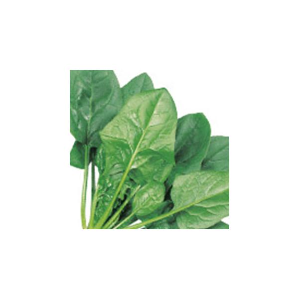 ق񑐂̎ AgX  1dl ( ؂̎ )