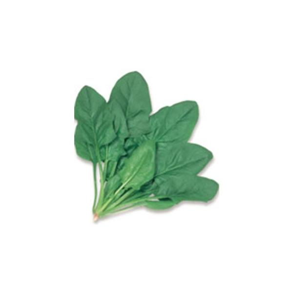 ق񑐂̎ fBv 1L ( ؂̎ )