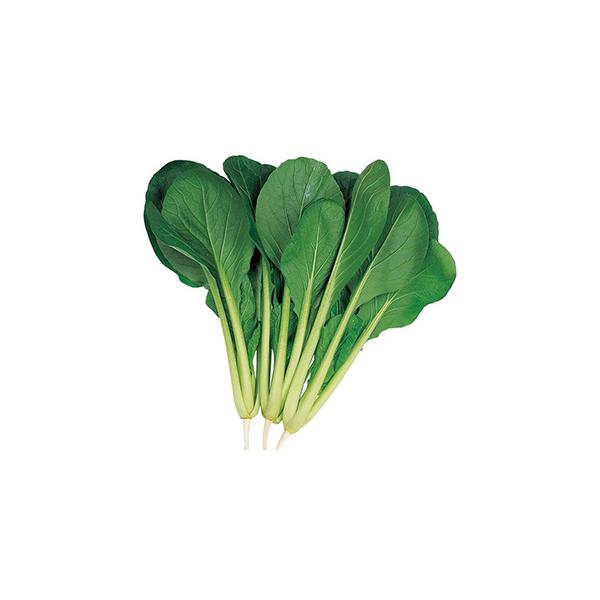 ͂ (؂̎) 2dl ( ؂̎ )