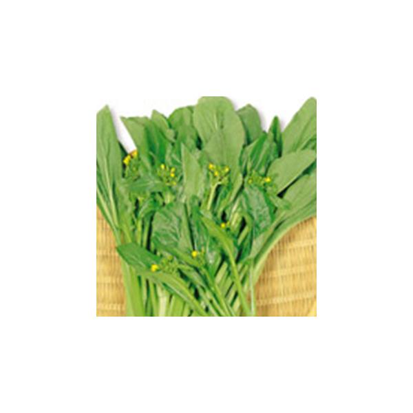 I[^|G (Eݍ؂̎) 1dl ( ؂̎ )