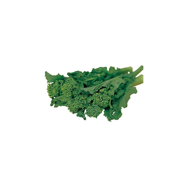 zꍆԍ (Ђ؂̎) 2dl ( ؂̎ )