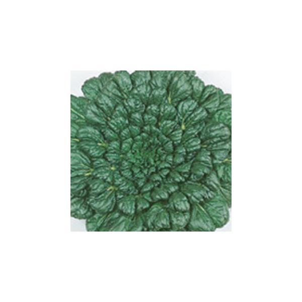 ΍ʓ񍆃^@c@C (̑tؗނ̎) 1dl ( ؂̎ )