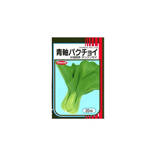 pN`C (̑tؗނ̎) 2dl ( ؂̎ )