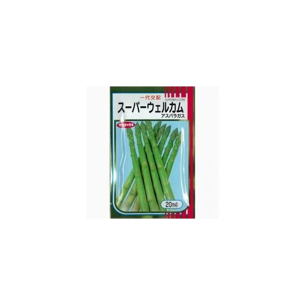 スーパーウェルカム (アスパラガスの種) 約22ml ( 野菜の種 ) : 菜園