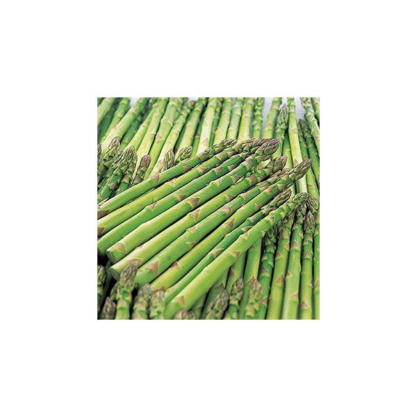 EFJ (AXpKX̎) 1dl ( ؂̎ )