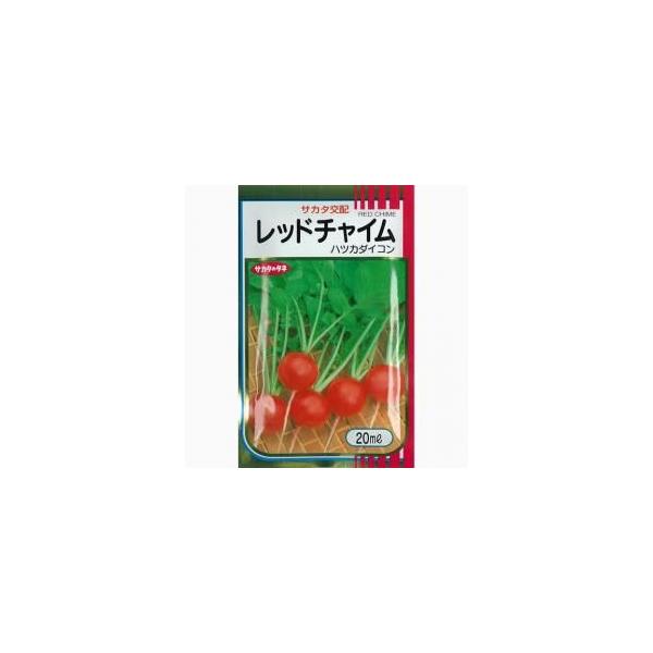 \卪̎ bh`C 2dl ( ؂̎ )