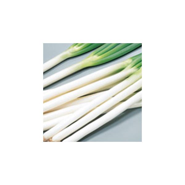 lM̎ Đ4  20ml ( ؂̎ )