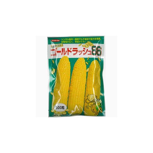 種 とうもろこし ゴールドラッシュの人気商品・通販・価格比較 種 とうもろこし ゴールドラッシュの人気商品・通販・価格比較