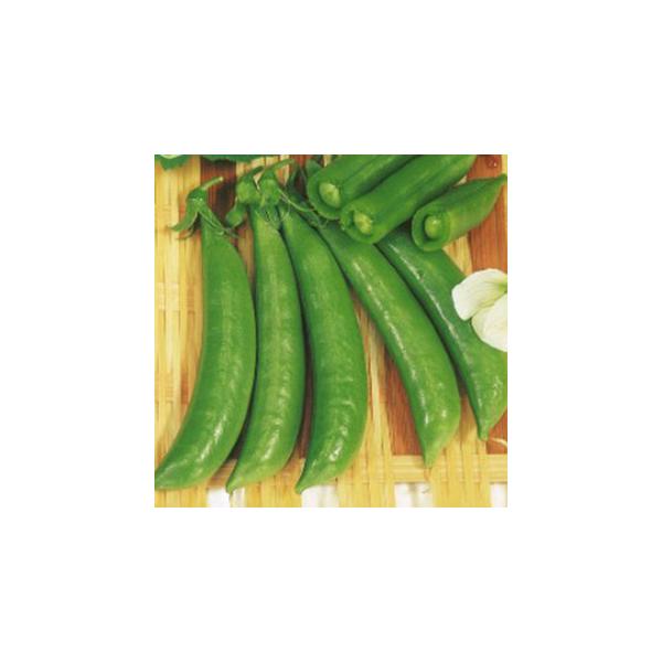エンドウの種 つる有りスナック 1L ( 野菜の種 )